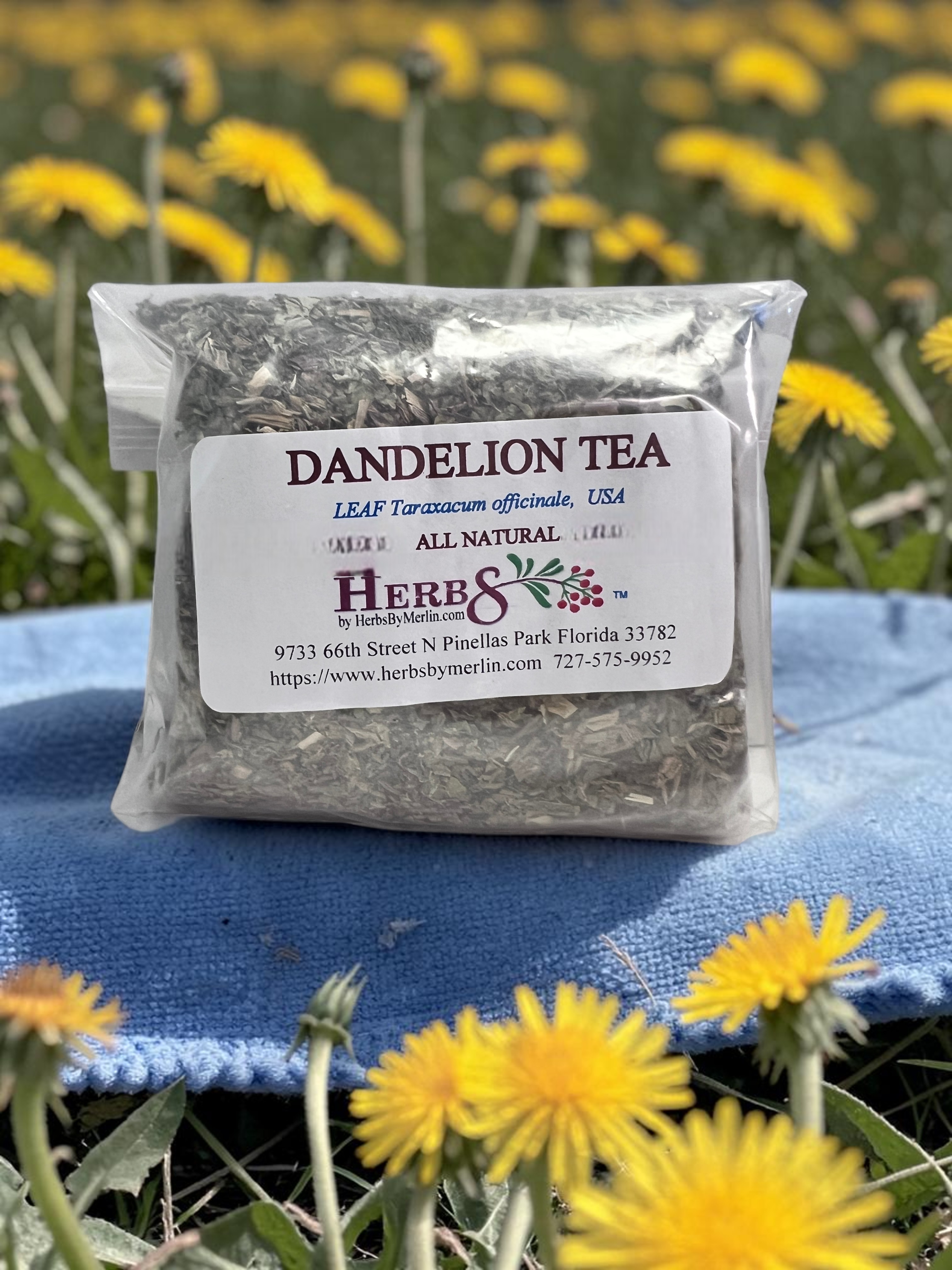 Dandelion Tea (Taraxacum officinale)